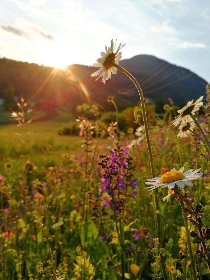 Bed and Breakfast Casa De Fiemme Тезеро Экстерьер фото